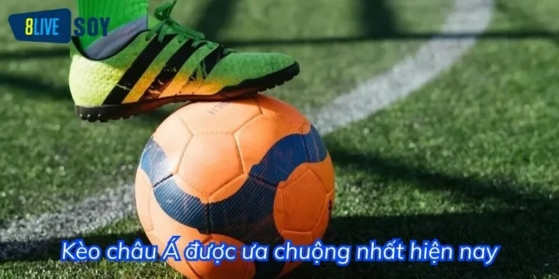 Kèo châu Á được các cược thủ ưa chuộng tại nhà cái 8Live