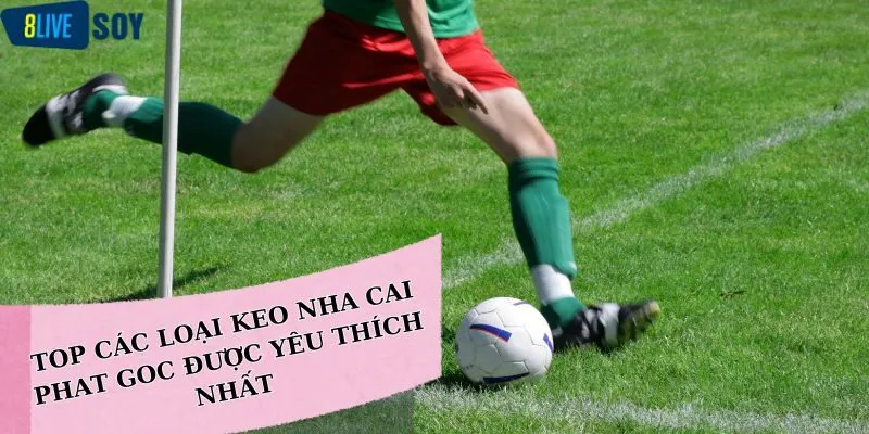 Top các loại keo nha cai phat goc được yêu thích nhất trên thị trường cá cược trực tuyến 2024