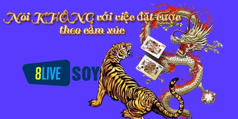 Nói KHÔNG với việc đặt cược theo cảm xúc 