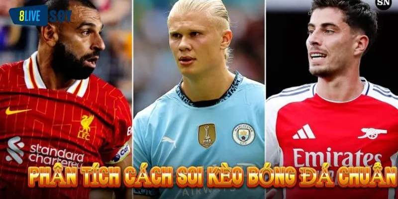 Phân tích cách soi kèo EPL chi tiết dành cho tân thủ