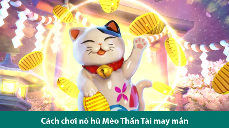 Cách chơi Neko may mắn và các ưu điểm nổi bật của trò chơi