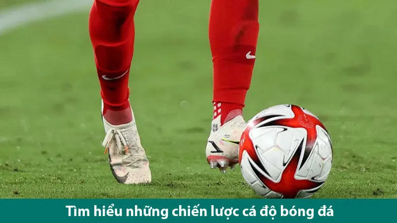 Chuyên gia cá cược chia sẻ chiến lược cá độ bóng đá luôn thắng